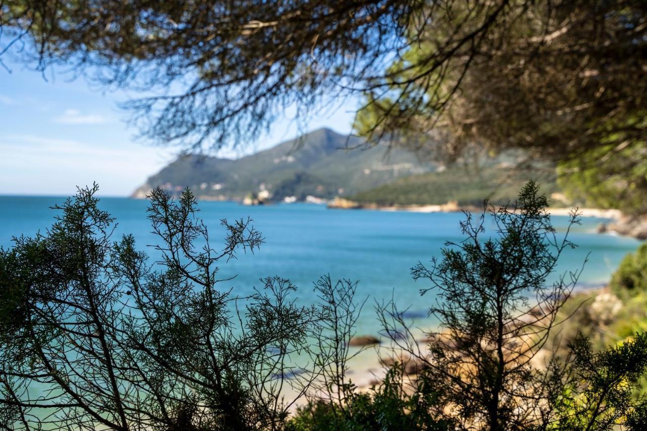 Arrabida Cozy House Villa ปัลเมลา ภายนอก รูปภาพ