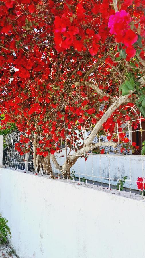 Arrabida Cozy House Villa ปัลเมลา ภายนอก รูปภาพ